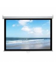 MÀN CHIẾU ĐIỆN DALITE 120X96